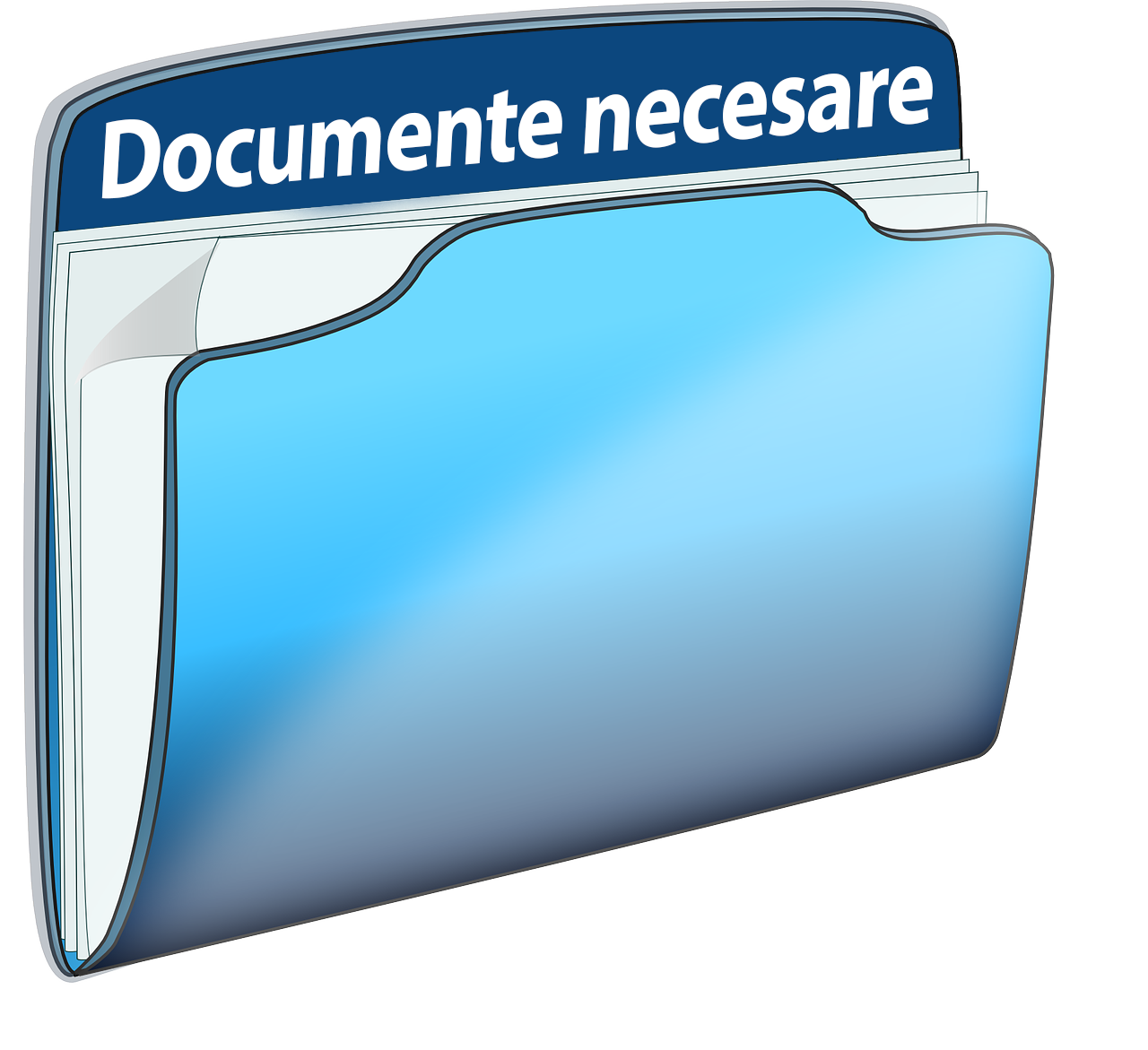 documente necesare